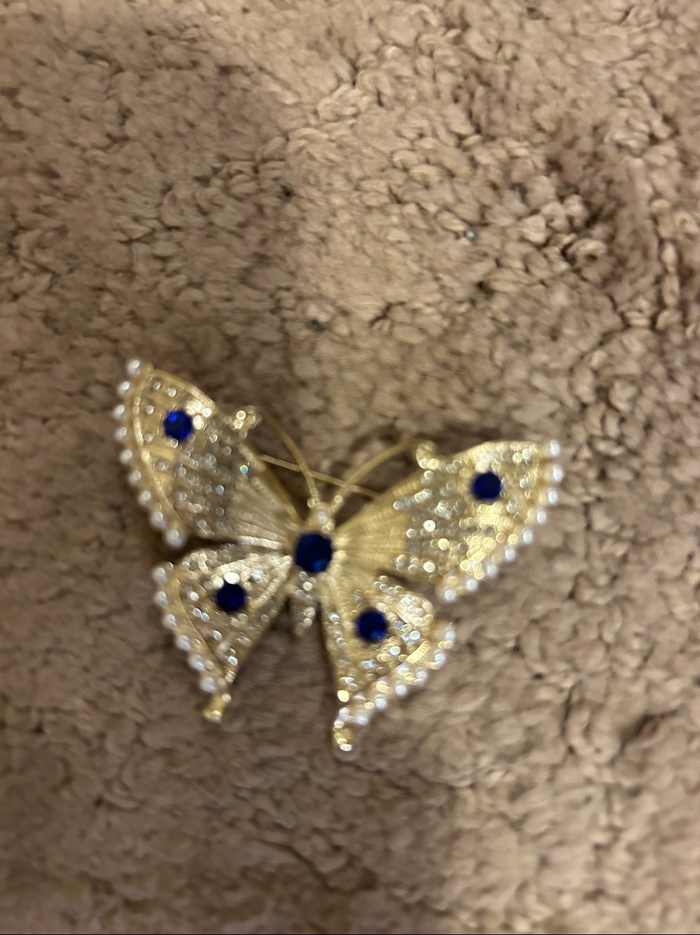 Butterfly Brooch